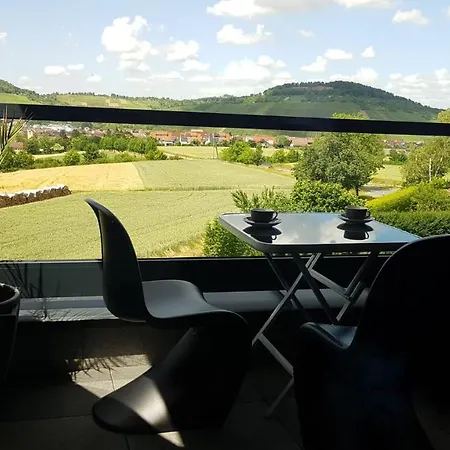 Apartments Metzingen Panoramablick Esterno foto